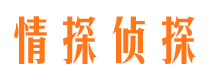 城步侦探公司